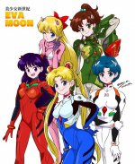 Bishoujo.Senshi.Sailor.Moon.full.3238563.jpg