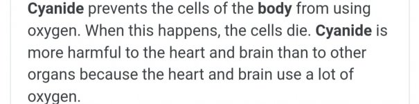 Screenshot_20210531-233406_Google.jpg