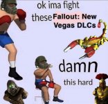 6npkmnngfb971.jpg