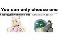 1626946496875.jpeg