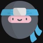 ninja.jpg