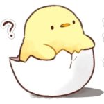duck.jpg