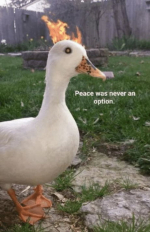 1657639594121.png