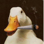 1657641660370.png