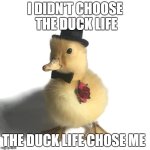 7AFEB16B-902F-4D30-830C-6C0AA75AA417.jpeg