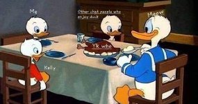 9kd8t0w5krm61.jpg