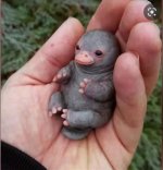 DBP_Baby.JPG