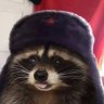 ˢⁱᵐᵖ