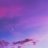 cottoncandy